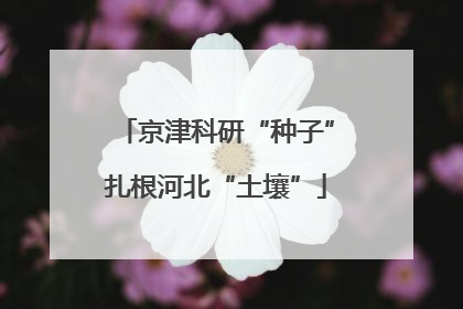 京津科研“种子”扎根河北“土壤”
