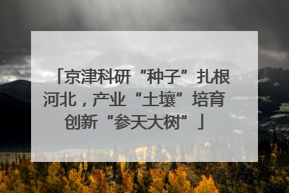 京津科研“种子”扎根河北，产业“土壤”培育创新“参天大树”