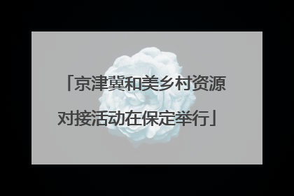 京津冀和美乡村资源对接活动在保定举行