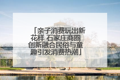亲子消费玩出新花样 石家庄商圈创新融合民俗与童趣引发消费热潮