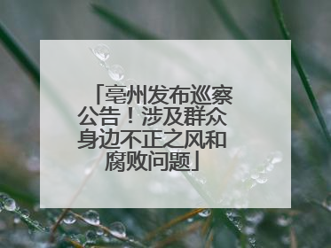 亳州发布巡察公告！涉及群众身边不正之风和腐败问题