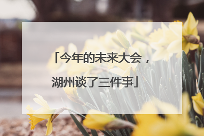 今年的未来大会，湖州谈了三件事
