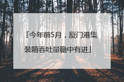 今年前5月，厦门港集装箱吞吐量稳中有进