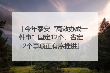 今年泰安“高效办成一件事”国定12个、省定2个事项正有序推进