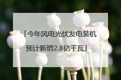 今年风电光伏发电装机预计新增2.8亿千瓦