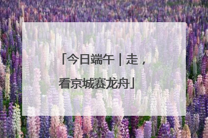 今日端午｜走，看京城赛龙舟