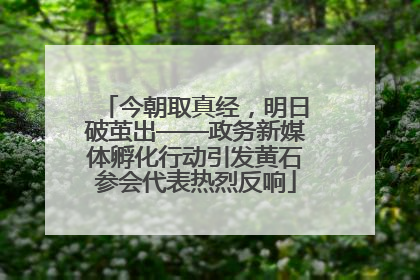 今朝取真经，明日破茧出——政务新媒体孵化行动引发黄石参会代表热烈反响