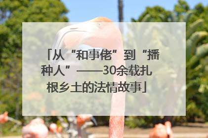 从“和事佬”到“播种人”——30余载扎根乡土的法情故事