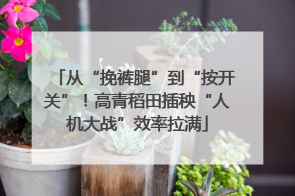 从“挽裤腿”到“按开关”！高青稻田插秧“人机大战”效率拉满