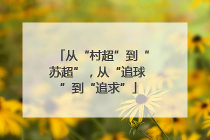 从“村超”到“苏超”，从“追球”到“追求”