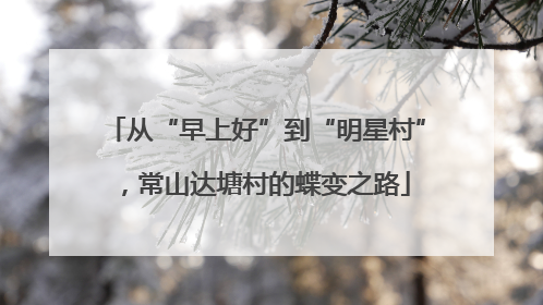 从“早上好”到“明星村”，常山达塘村的蝶变之路