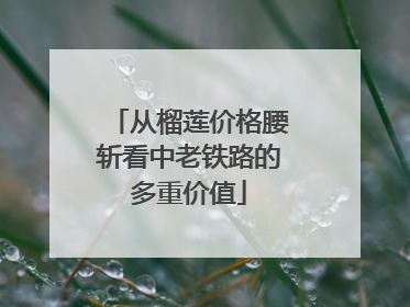 从榴莲价格腰斩看中老铁路的多重价值