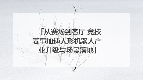 从赛场到客厅 竞技赛事加速人形机器人产业升级与场景落地