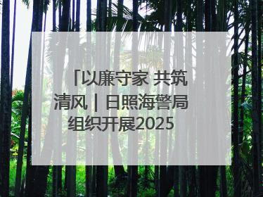以廉守家 共筑清风｜日照海警局组织开展2025年集中送廉活动