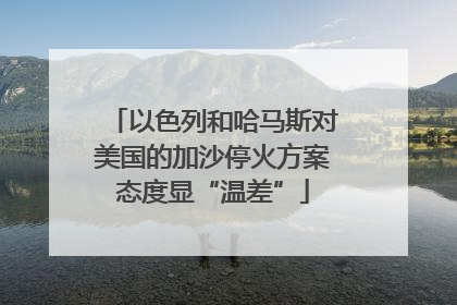 以色列和哈马斯对美国的加沙停火方案态度显“温差”