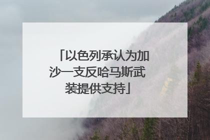 以色列承认为加沙一支反哈马斯武装提供支持