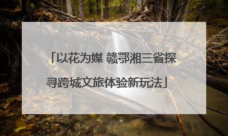 以花为媒 赣鄂湘三省探寻跨城文旅体验新玩法