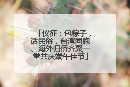 仪征：包粽子，话民俗，台湾同胞、海外归侨齐聚一堂共庆端午佳节