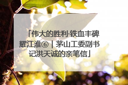 伟大的胜利·铁血丰碑耀江淮⑥｜茅山工委副书记洪天诚的亲笔信