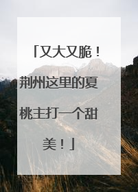 又大又脆！荆州这里的夏桃主打一个甜美！