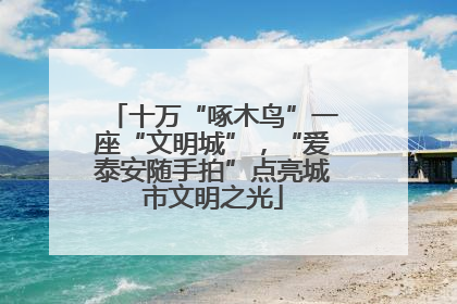 十万“啄木鸟”一座“文明城”，“爱泰安随手拍”点亮城市文明之光