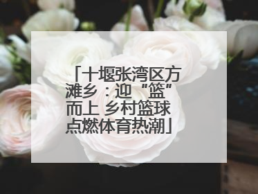 十堰张湾区方滩乡：迎“篮”而上 乡村篮球点燃体育热潮