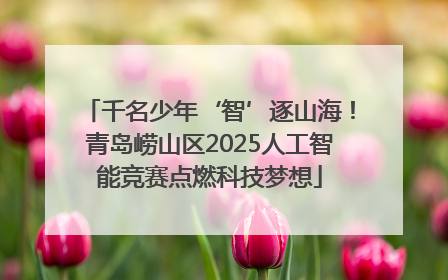 千名少年‘智’逐山海！青岛崂山区2025人工智能竞赛点燃科技梦想