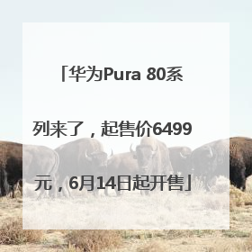 华为Pura 80系列来了，起售价6499元，6月14日起开售