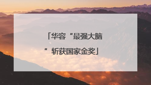 华容“最强大脑”斩获国家金奖