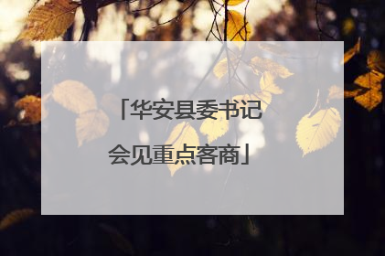 华安县委书记会见重点客商