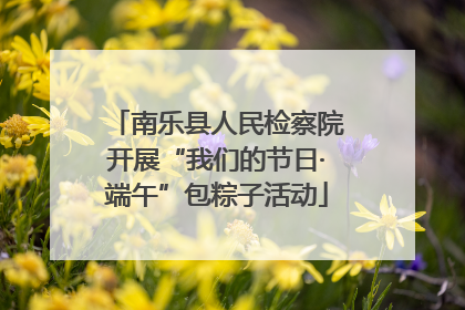 南乐县人民检察院开展“我们的节日·端午”包粽子活动