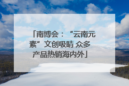 南博会：“云南元素”文创吸睛 众多产品热销海内外