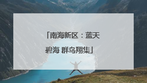 南海新区：蓝天碧海 群鸟翔集