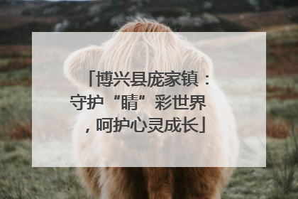 博兴县庞家镇：守护“睛”彩世界，呵护心灵成长