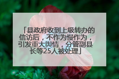 县政府收到上级转办的信访后，不作为慢作为，引发重大舆情，分管副县长等25人被处理