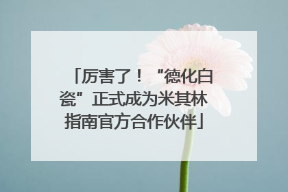 厉害了！“德化白瓷”正式成为米其林指南官方合作伙伴