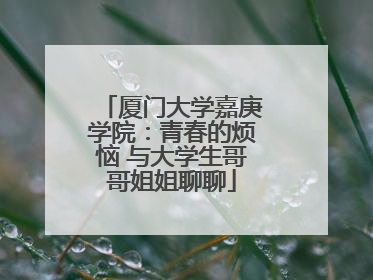 厦门大学嘉庚学院:青春的烦恼 与大学生哥哥姐姐聊聊