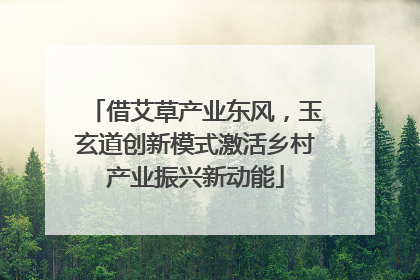 借艾草产业东风，玉玄道创新模式激活乡村产业振兴新动能