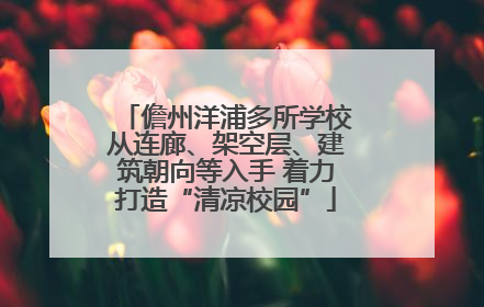 儋州洋浦多所学校从连廊、架空层、建筑朝向等入手 着力打造“清凉校园”