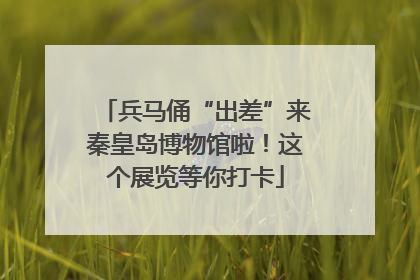 兵马俑“出差”来秦皇岛博物馆啦！这个展览等你打卡