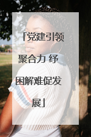 党建引领聚合力 纾困解难促发展