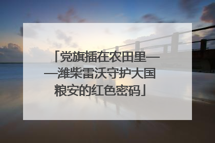 党旗插在农田里——潍柴雷沃守护大国粮安的红色密码