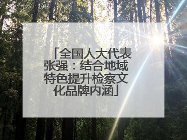 全国人大代表张强：结合地域特色提升检察文化品牌内涵