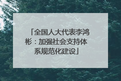 全国人大代表李鸿彬：加强社会支持体系规范化建设