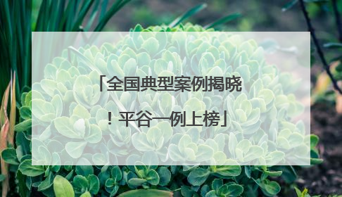 全国典型案例揭晓！平谷一例上榜
