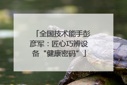 全国技术能手彭彦军：匠心巧辨设备“健康密码”