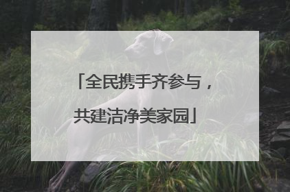全民携手齐参与，共建洁净美家园
