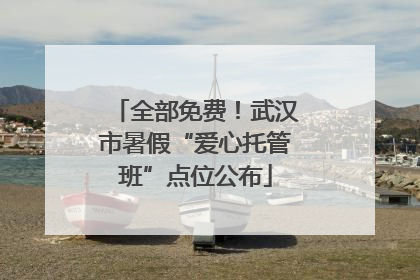 全部免费！武汉市暑假“爱心托管班”点位公布