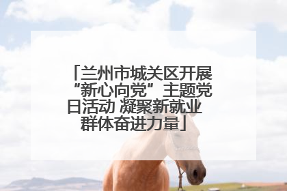 兰州市城关区开展“新心向党”主题党日活动 凝聚新就业群体奋进力量