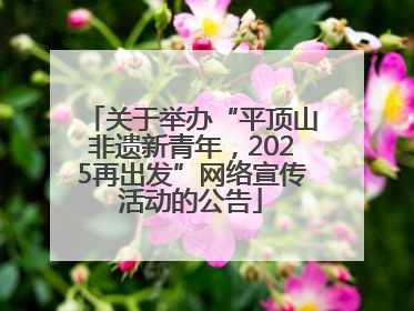 关于举办“平顶山非遗新青年，2025再出发”网络宣传活动的公告